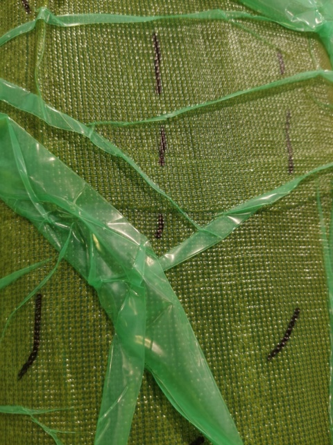 Folia szerokość 24 metry do infuzji membranowa 80 mikronów STRONGGREEN