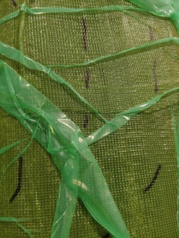 Folia szerokość 4 metry do infuzji membranowa 80 mikronów STRONGGREEN 4 m² = 1 mb